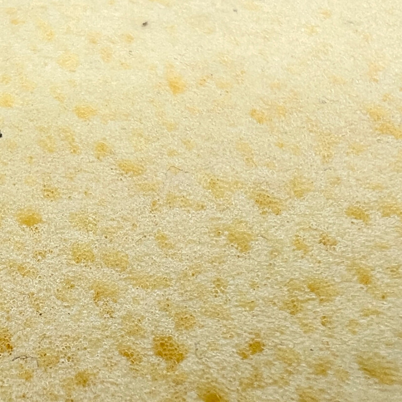 Губка Litokol Sweepex Epoxy для поліуретанових затирок FillGood EVO (128G0001)